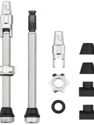 Akční Cena Wolf Tooth Clik Valve bezdušové ventily, 60 mm, stříbrná