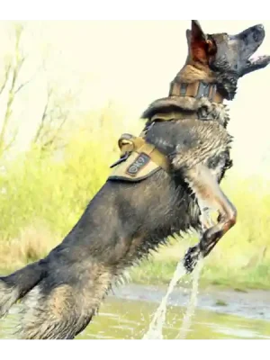 Postroj K9 Thorn Delta, hnědý kojot Vrácení Zdarma
