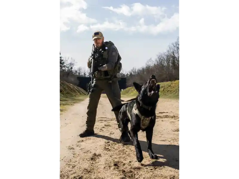 Horká Nabídka K9 Thorn Postroj Cordura M, multicam black