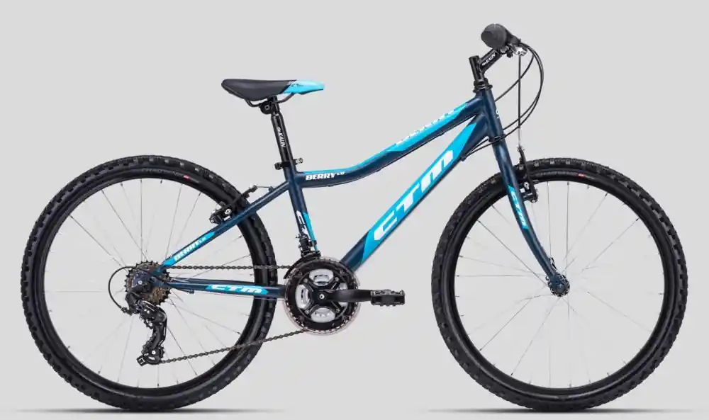 Dětské kolo CTM Berry 1.0 blue Cenový Hit